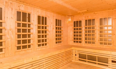 Infrared or traditional sauna?